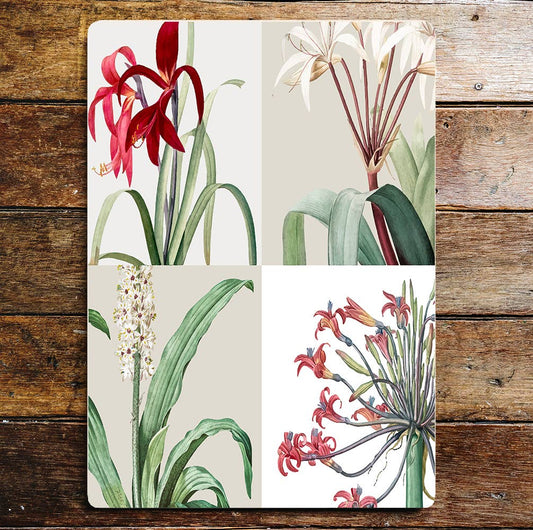 Lilies Flowers Four Kinds | Metal Wall Sign