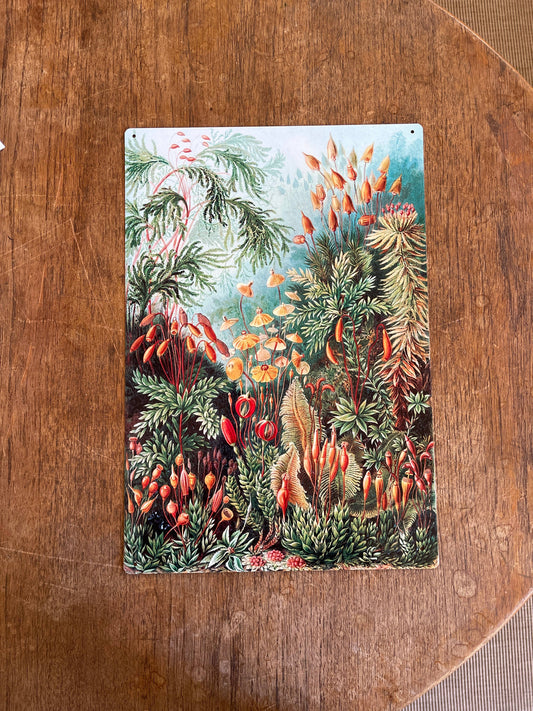 Garden Flowers Green | Metal Sign Plaque