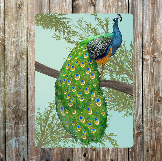 Peacock Pretty Animal Metal Sign Plaque