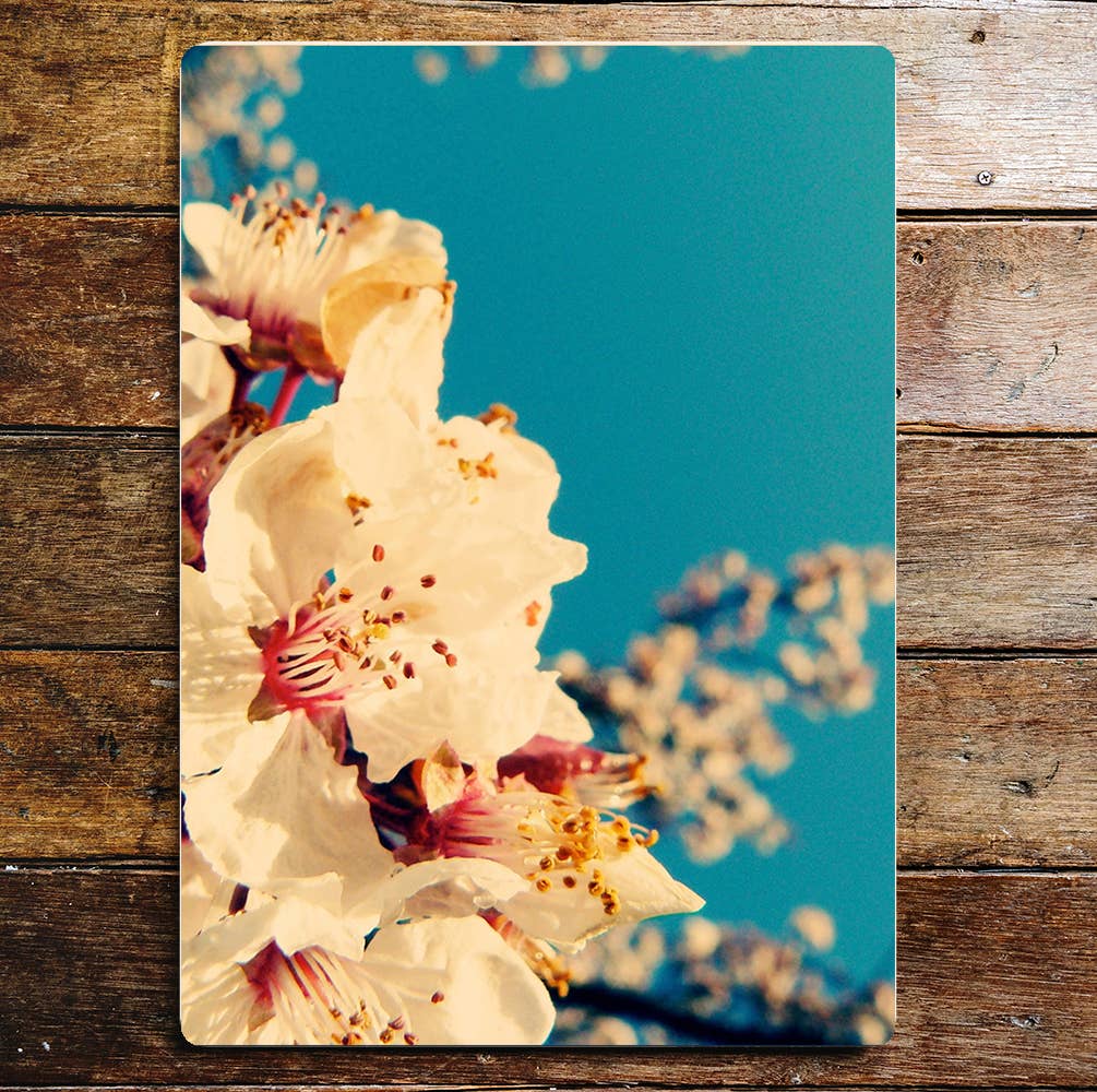 Flowers Blue Sky White And Pink | Metal Wall Sign Plaque