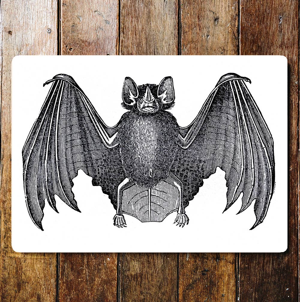 Black Bat Wings Spread | Metal Sign Plaque