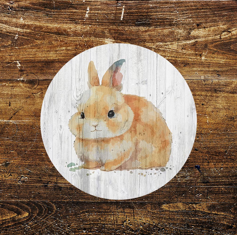 Baby Rabbit Cute Pet Art Circle Metal Sign