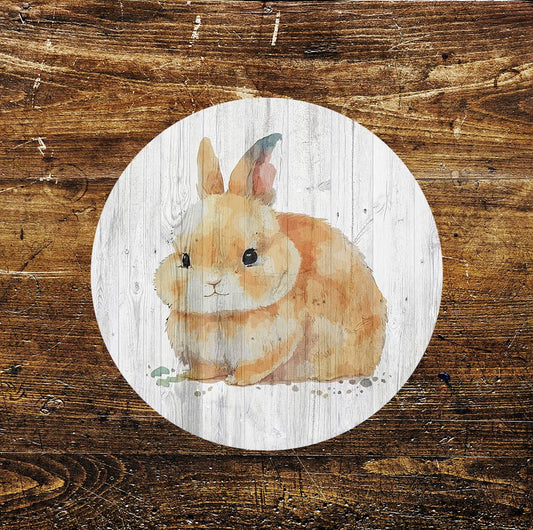 Baby Rabbit Cute Pet Art Circle Metal Sign