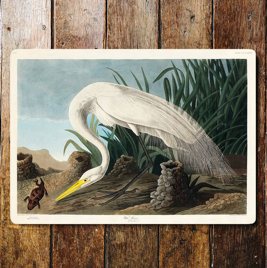 White Heron Playing With Frog Pond Life | Metal Sign Plaque