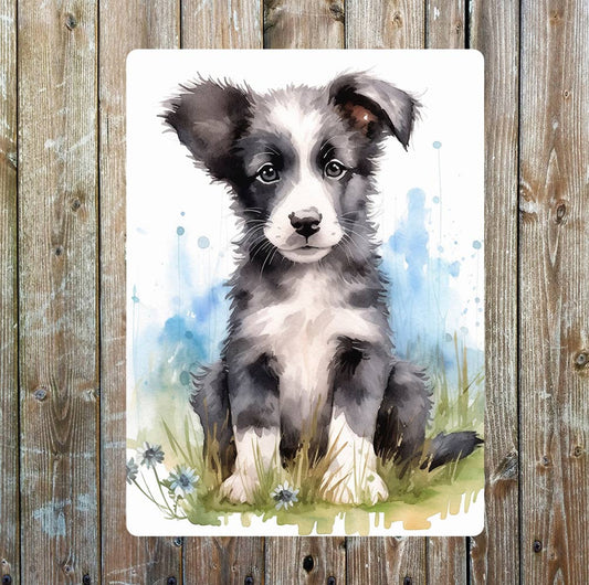 Border Collie Watercolour Dog Puppy Decor | Metal Sign Plaque