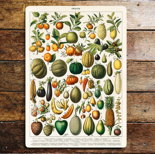 Vintage Vegetables Fruit  | Metal Wall Sign Plaque
