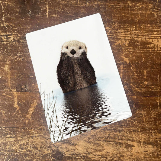 Otter animal Face Head Cute Water | Metal Animal Wall Sign