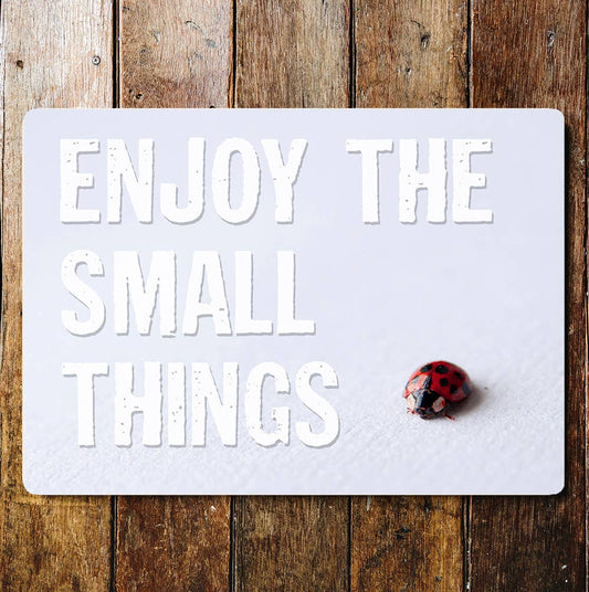 Enjoy The Small Things Ladybird | Metal Sign Plaque