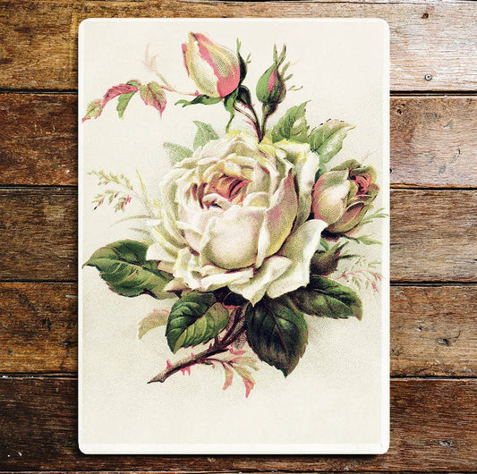 White & Pink Roses Stem  | Metal Wall Sign Plaque
