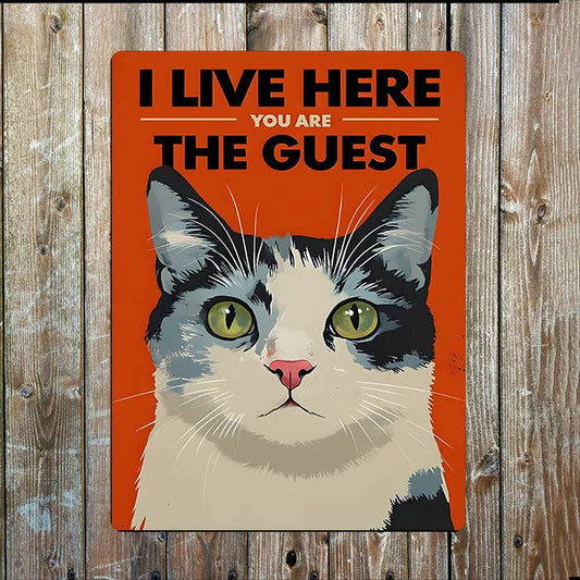 Cat I Live Here You Are The Guest Retro | Metal Sign Plaque