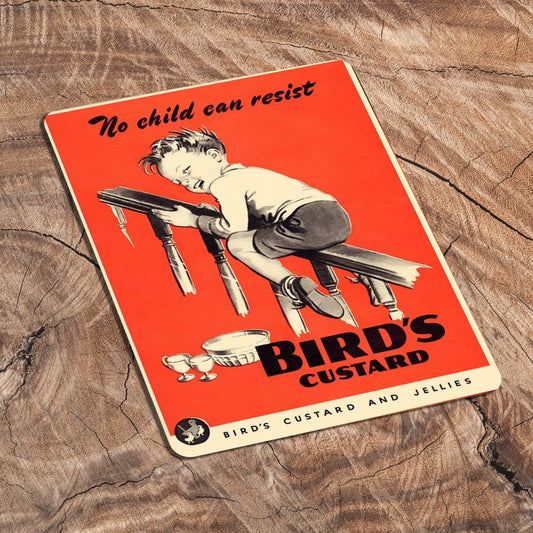 No Child Can Resist Birds Custard | Metal Sign