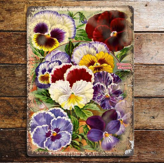 Bismark Pansies Flower | Metal Wall Sign Plaque