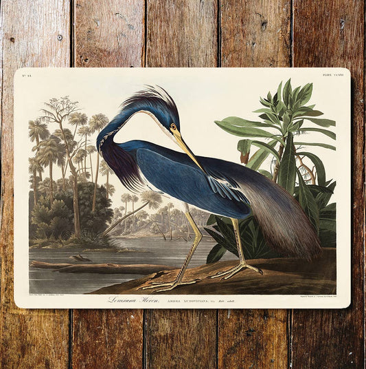 Louisiana Heron Riverside | Metal Sign Plaque