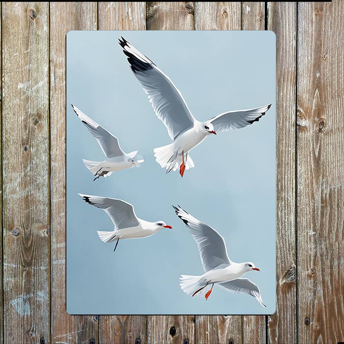 Seagulls In Flight Sky Coast Sea Nautical Metal Sign Plaque