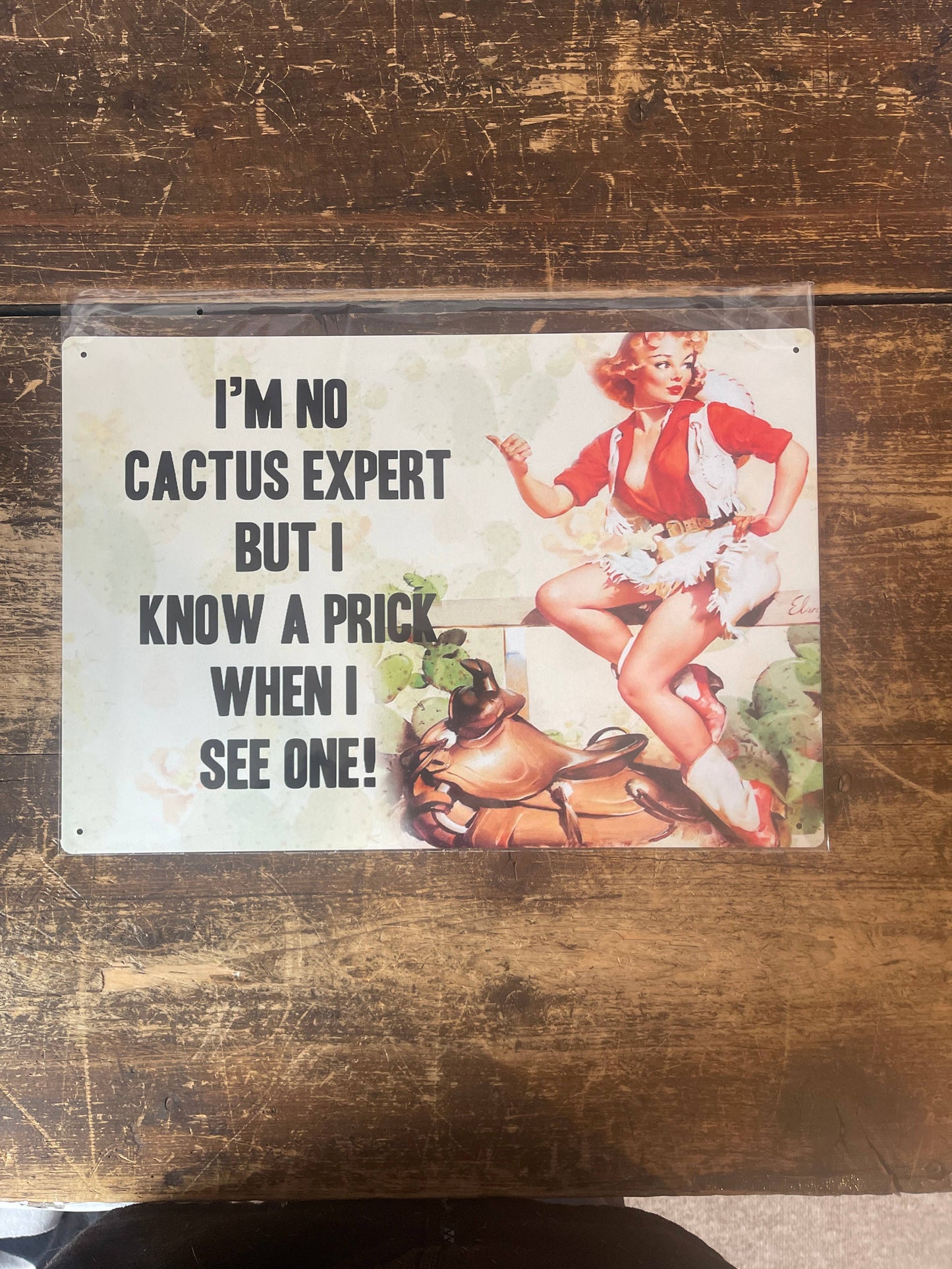 I'm No Cactus Expert But I Know A Prick | Metal Wall Sign