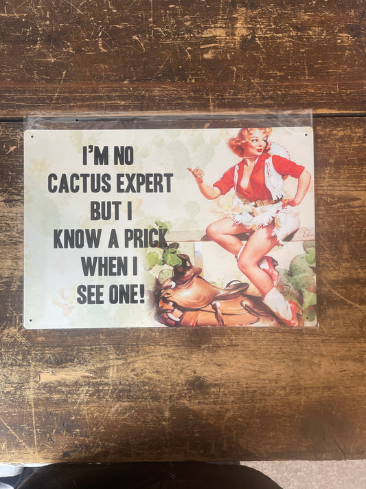 I'm No Cactus Expert But I Know A Prick | Metal Wall Sign