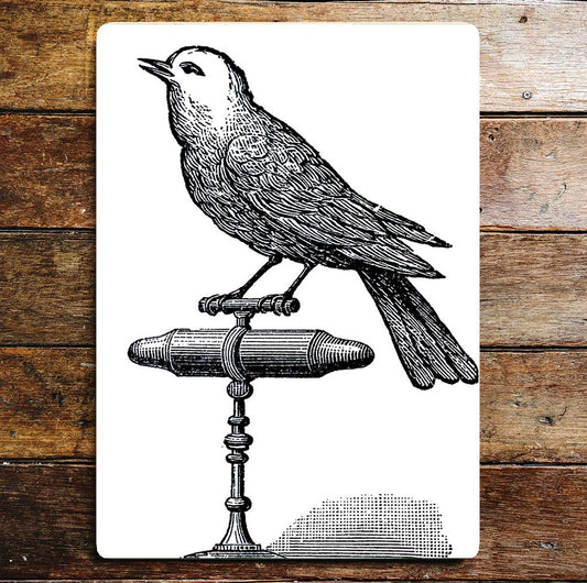 Bird Calling Sitting Perched | Metal Sign Plaque