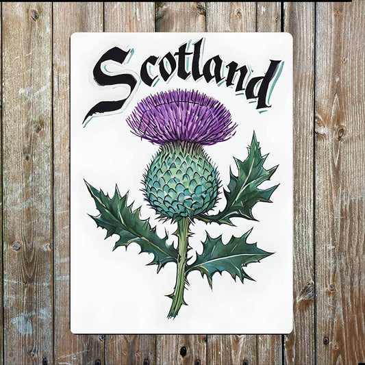 Thistle Flower | Scottish Scotland | Metal Sign Plaque