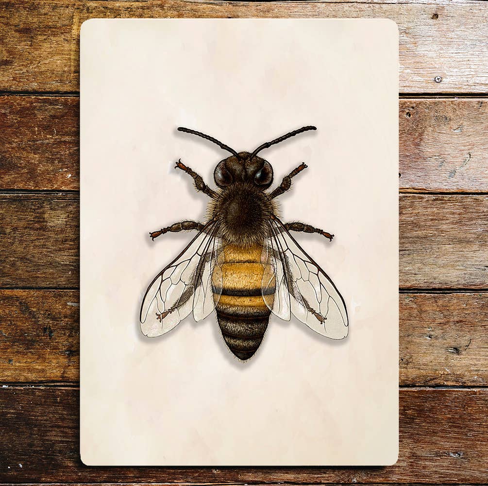 Bumblebee | Metal Sign Plaque