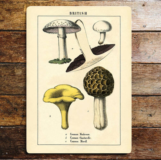 Mushroom fungi British wall art | Metal Sign Plaque