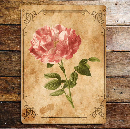 Pink Rose Stem Card Vintage Metal Sign Plaque