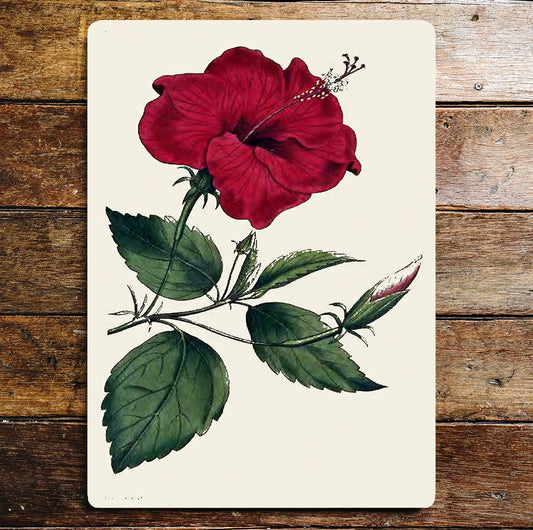 Red Flower And Leaves Stem Metal Wall Sign Plaque