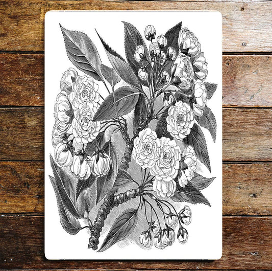 Roses Bush Stem Pencil Drawing Metal Wall Sign Plaque