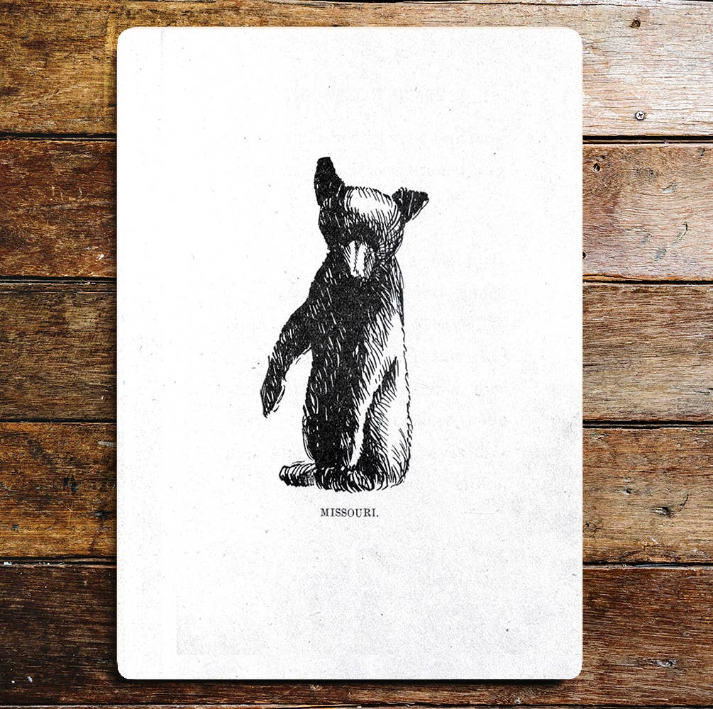 Cute Bear Cub Sitting Tall | Metal Sign Plaque