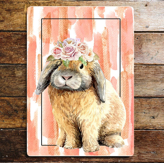 Easter Bunny lifestyle | Metal Sign Plaque