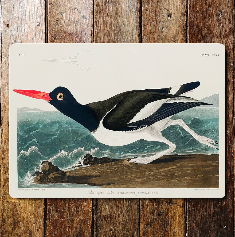 Black And White Bird Red Beak Sea Waves | Metal Sign Plaque