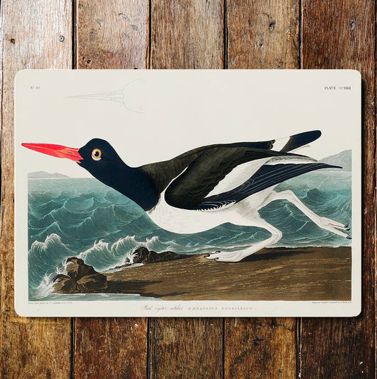 Black And White Bird Red Beak Sea Waves | Metal Sign Plaque