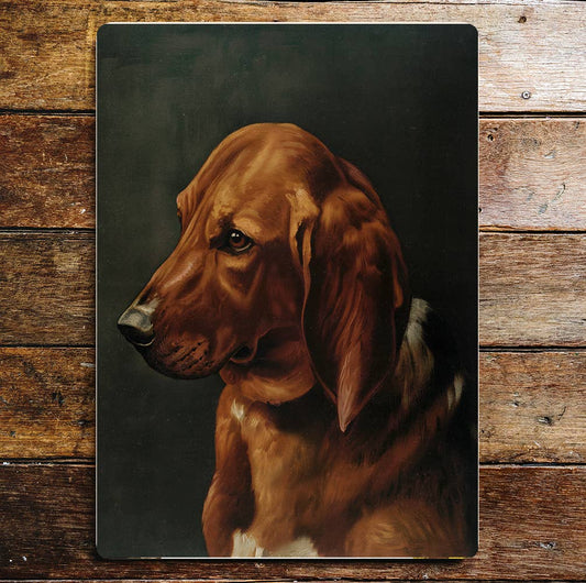Beautiful Brown Dog Face Portrait | Metal Sign Plaque