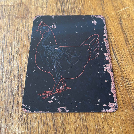 Chicken Skeleton | Metal Sign Plaque