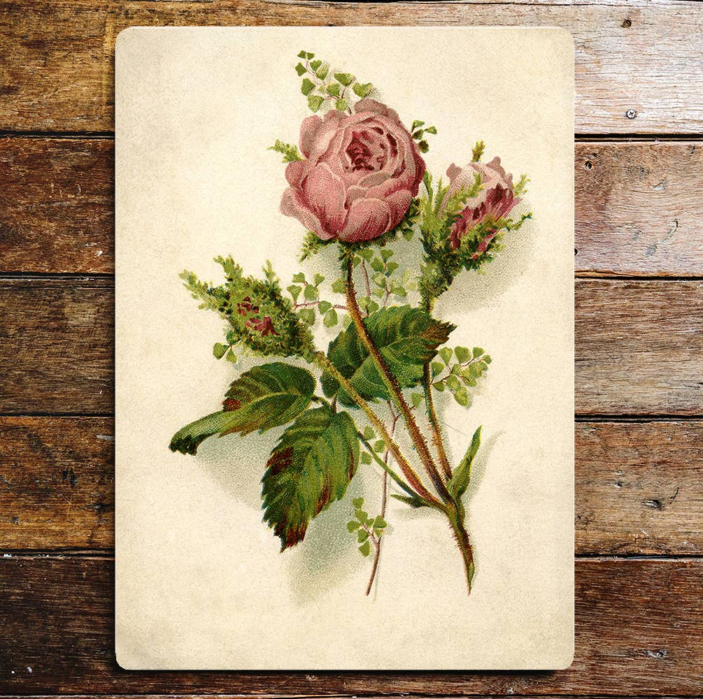 Rose Stem Pink Flowers Metal Wall Sign