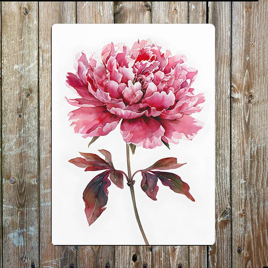 Watercolour Pink Peony Flower | Metal Sign Plaque