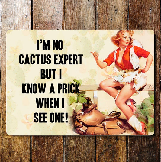 I'm No Cactus Expert But I Know A Prick | Metal Wall Sign