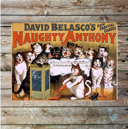 Naughty cat's funny | Metal Sign Plaque