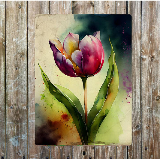 Purple Red Yellow Open Tulip Portrait Metal Sign Plaque