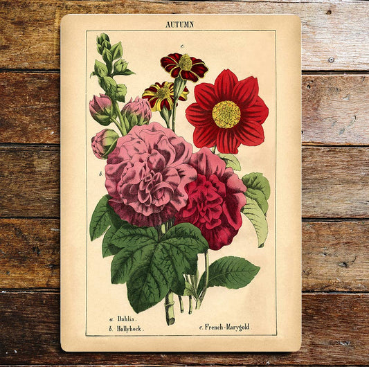 Selection Of Flowers Pink And Red Autumn Metal Sign Plaque