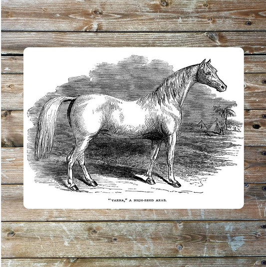 Horse vintage art | Metal Sign Plaque