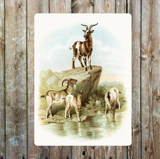 Wild Goat Pack | Metal Sign Plaque
