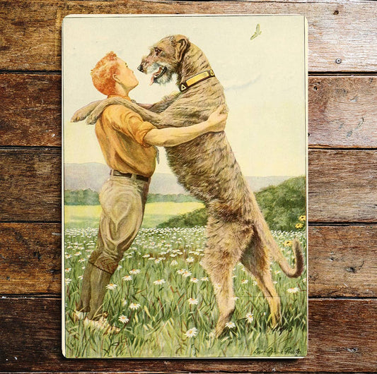 Man And His Dog Love Daisy Fields | Metal Sign Plaque