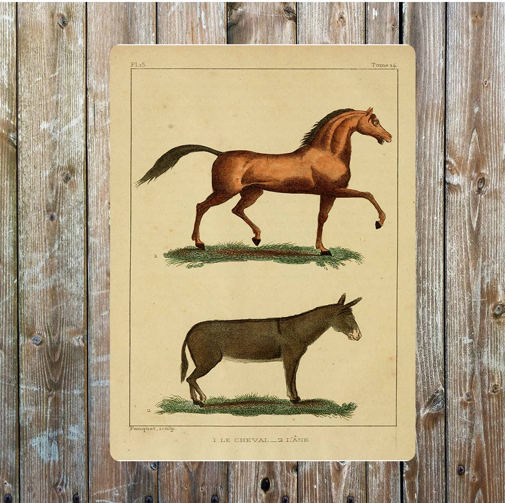 Horse and Donkey wall art | Metal Sign Plaque