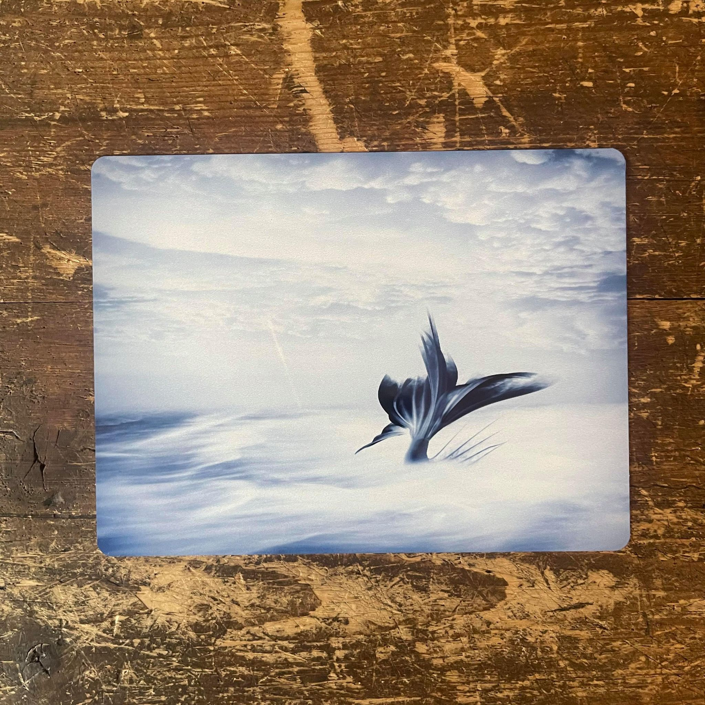 Mermaid tail | Metal Sign Plaque Bathroom