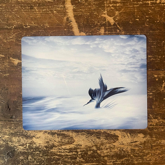 Mermaid tail | Metal Sign Plaque Bathroom