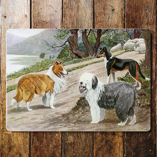 Lake View Dogs Meeting Collie Sheep dog | Metal Sign Plaque