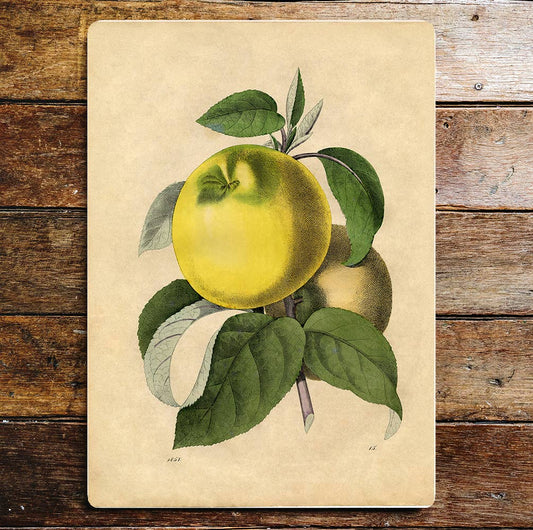 Apple Tree Branch Kitchen | Metal Wall Sign