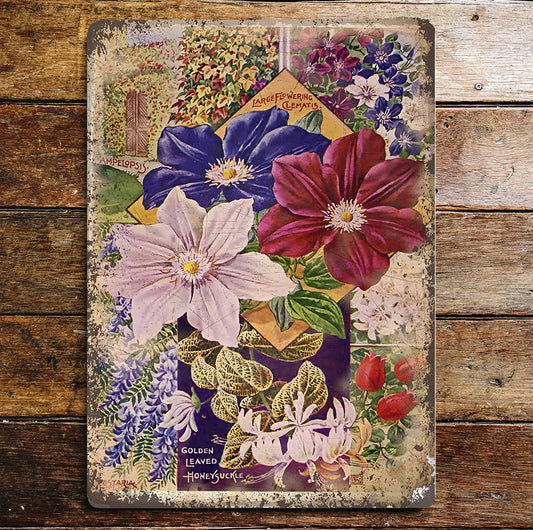 Clematis Flower Botanical | Metal Wall Sign Plaque