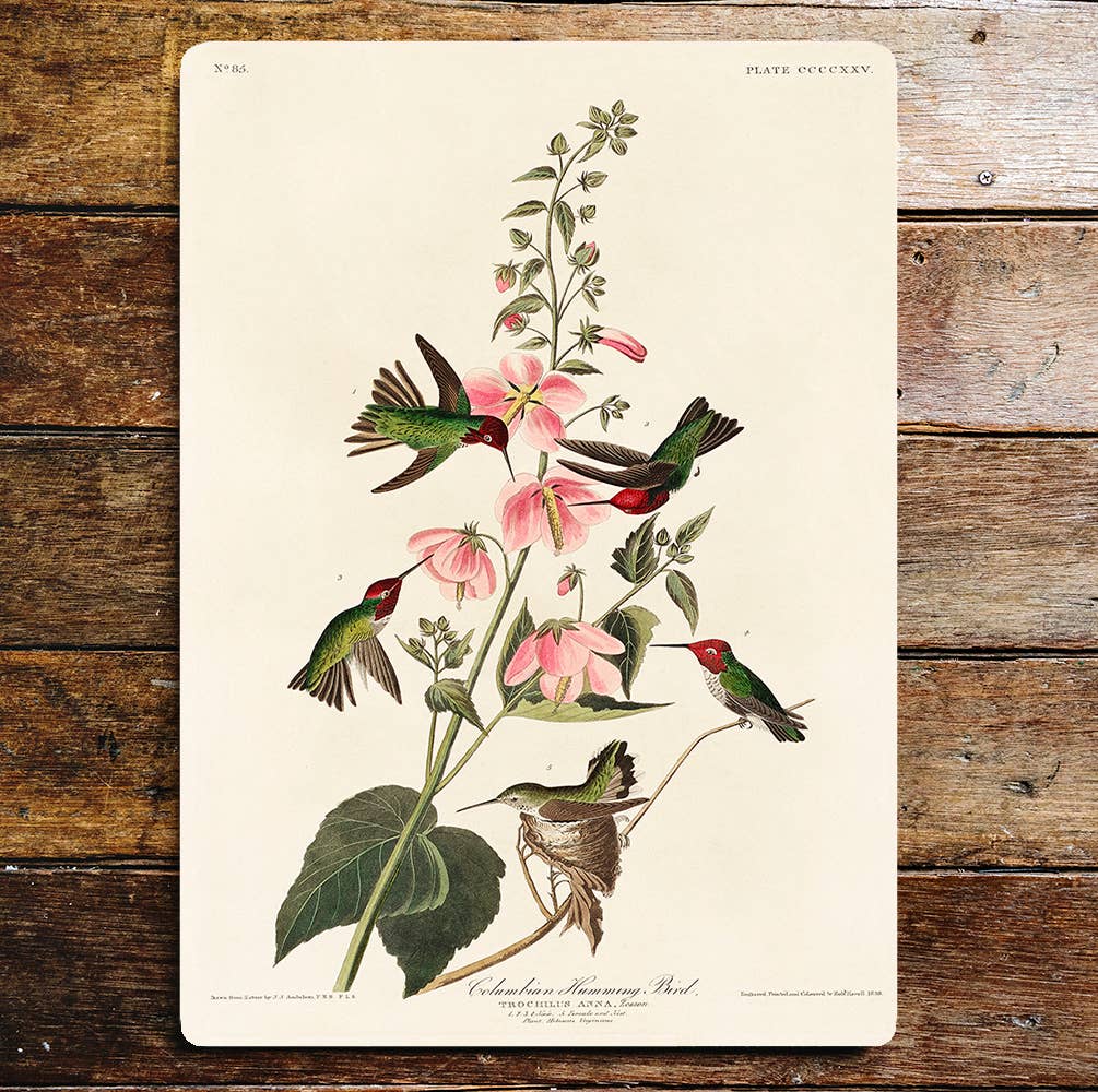 Humming Birds Pink Flower Branch | Metal Sign Plaque