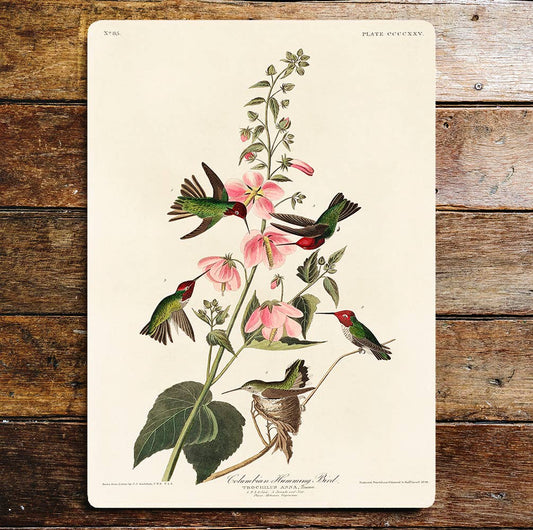 Humming Birds Pink Flower Branch | Metal Sign Plaque